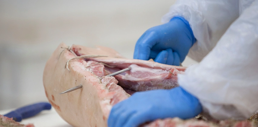 Artisanal facility
